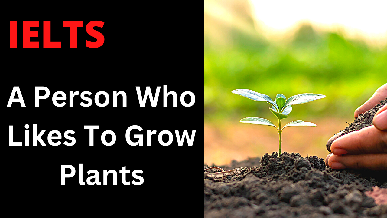 IELTS Speaking Part 2 Someone Who Likes To Grow Plants (Gardening